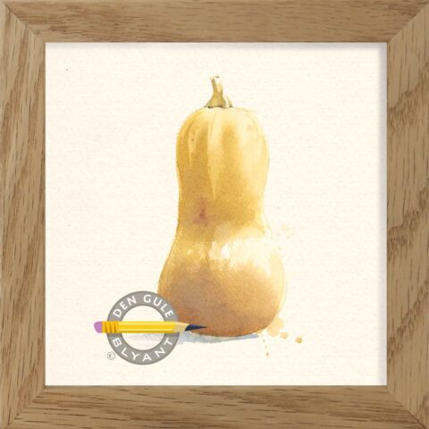 Butternutsquash eller butternut græskar. Fint mini print. Akvarel fra Lund og Nielsen.